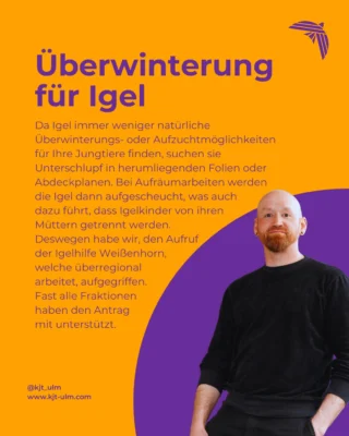 Instagram post from kjt_ulm. This post is in position 3.