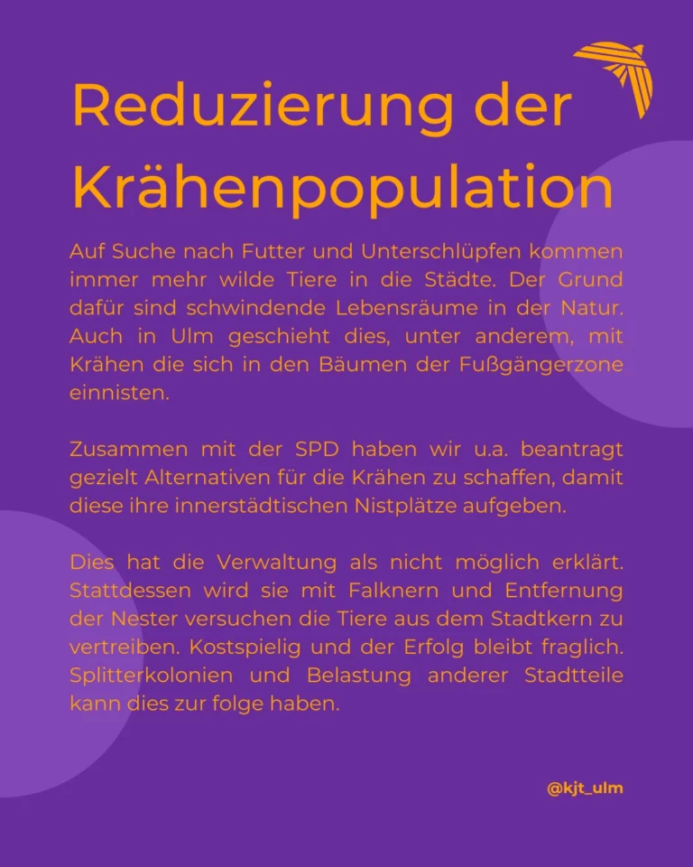 Instagram post from kjt_ulm. This post is in position 6.